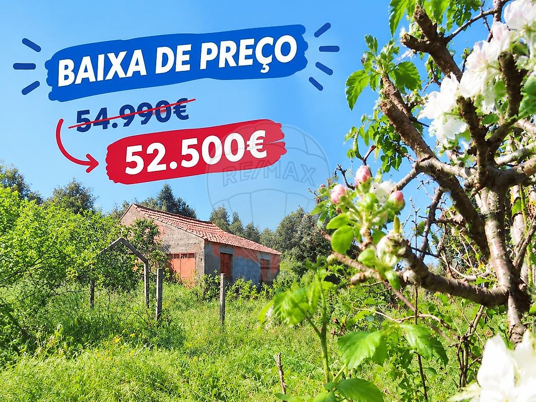 Quinta - Penamacor, Penamacor, Castelo Branco