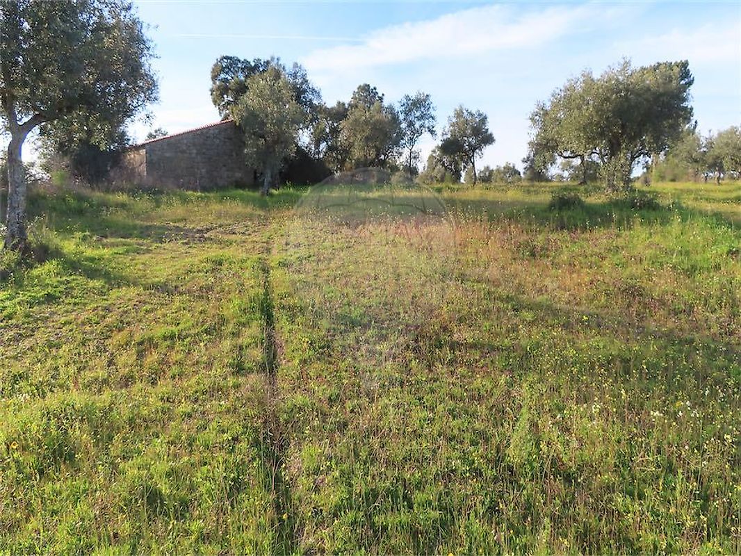 Quinta à venda em Idanha-a-Nova