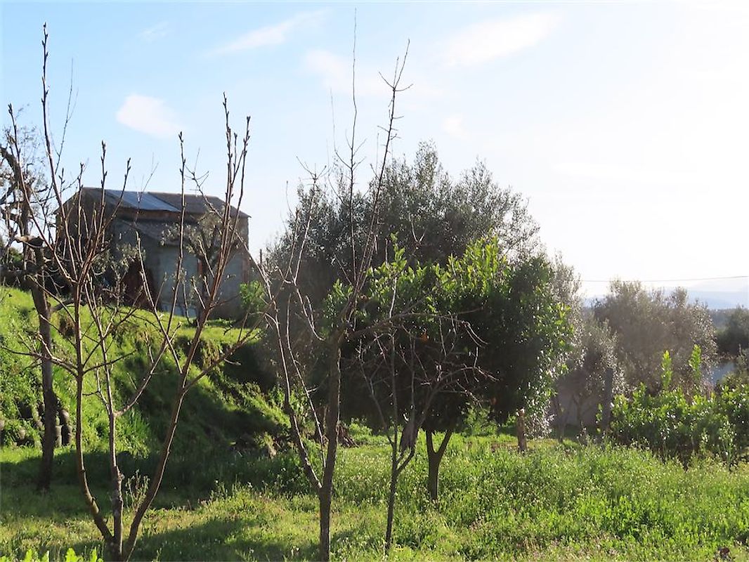 Quinta à venda em Castelo Branco