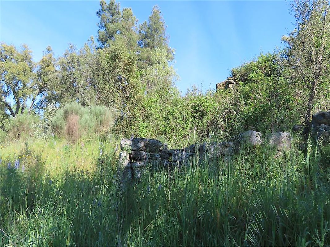 Terreno à venda em Penamacor
