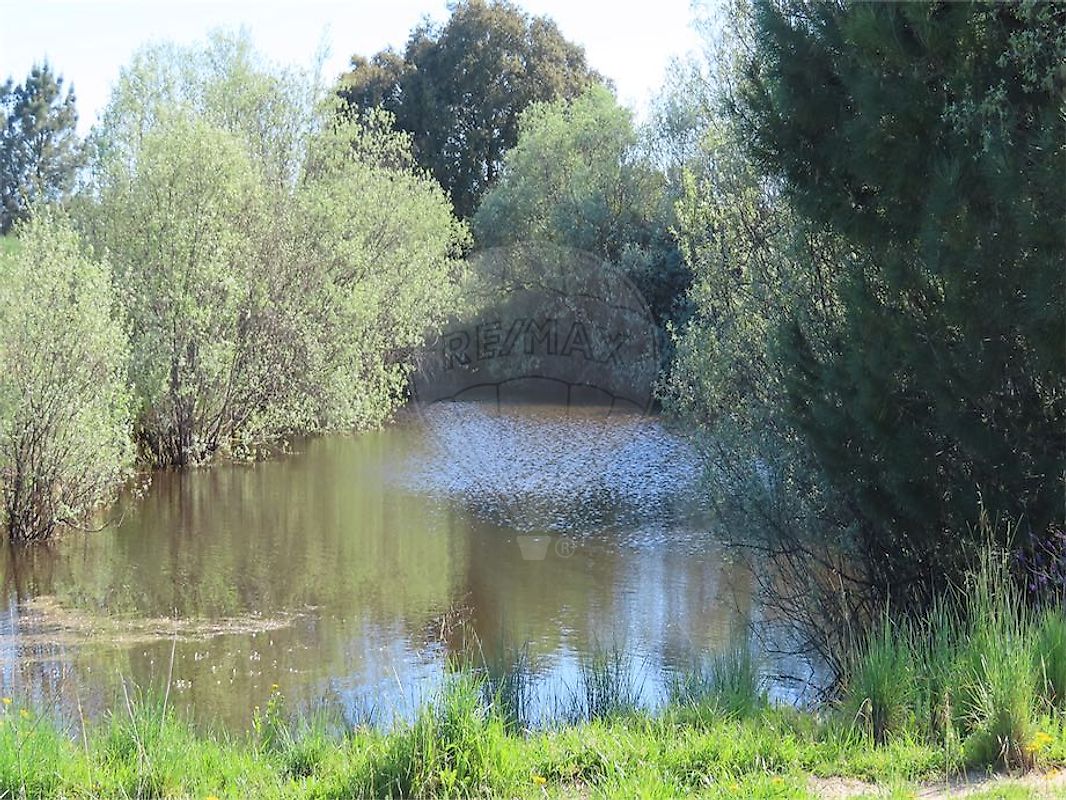 Quinta - Castelo Branco, Castelo Branco, Castelo Branco