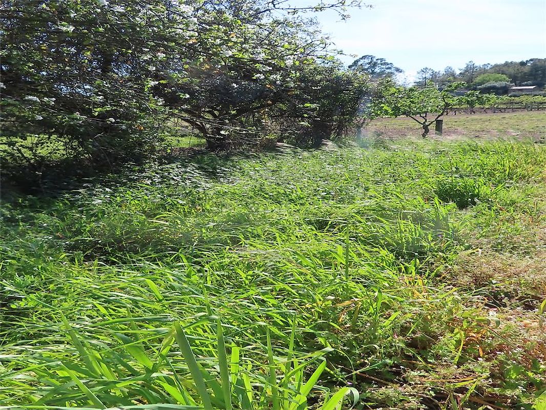 Terreno à venda em Penamacor