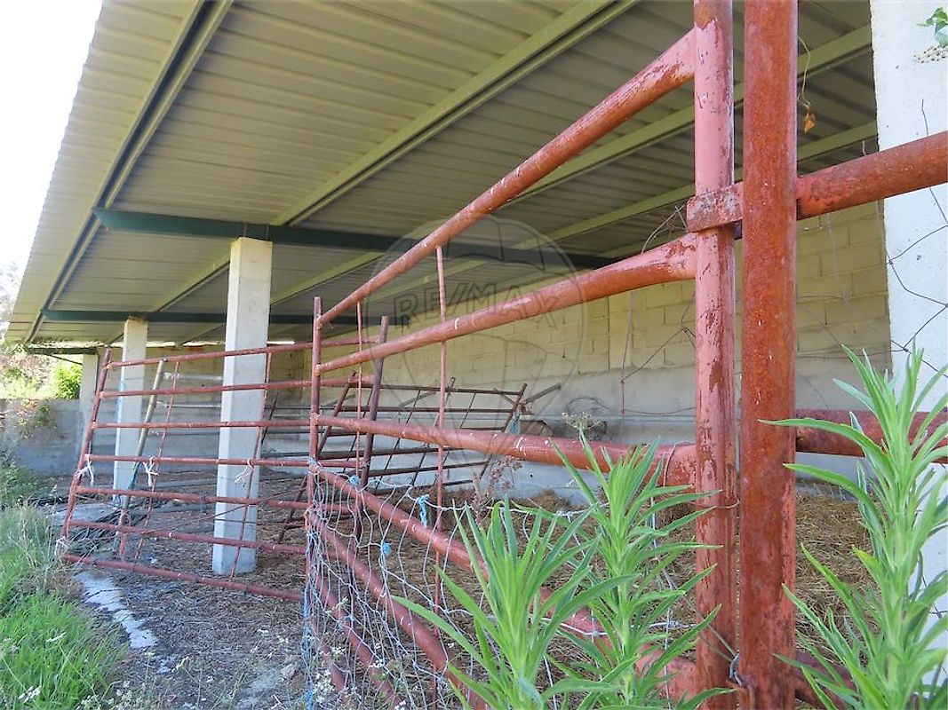 listing-picture-0