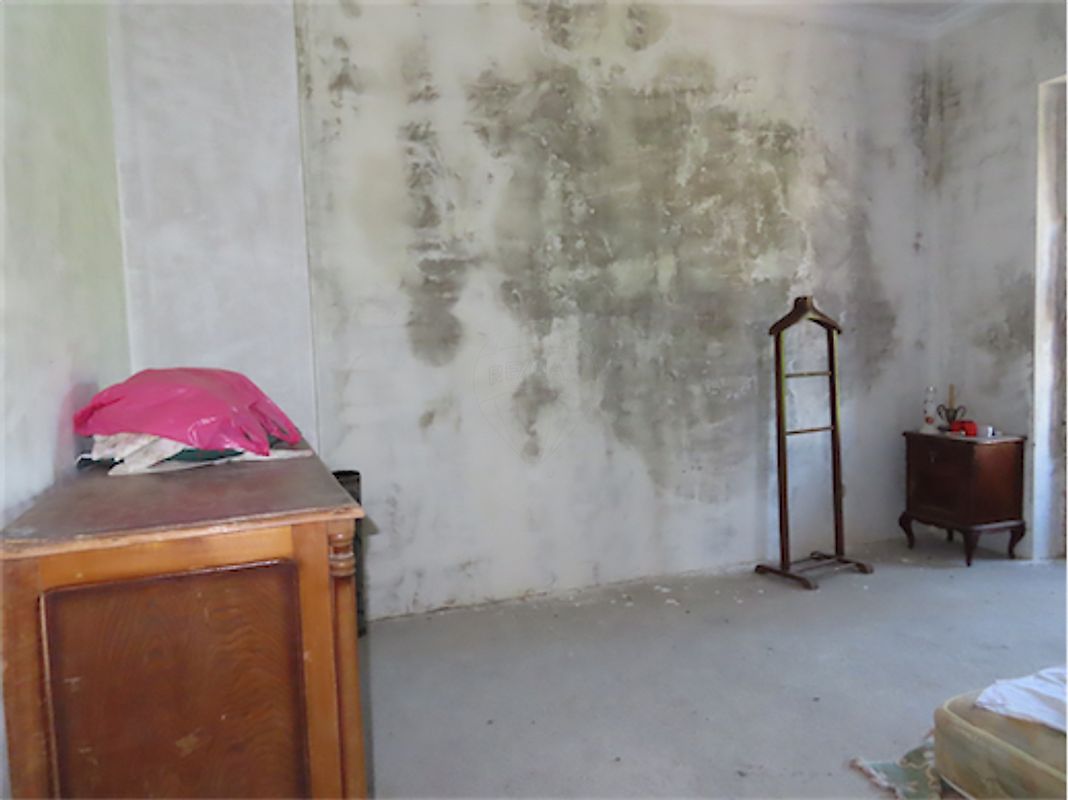 Moradia T3 à venda em Ninho do Açor e Sobral do Campo, Castelo Branco — foto 13