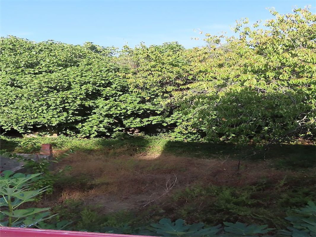 Moradia T3 à venda em Ninho do Açor e Sobral do Campo, Castelo Branco — foto 10