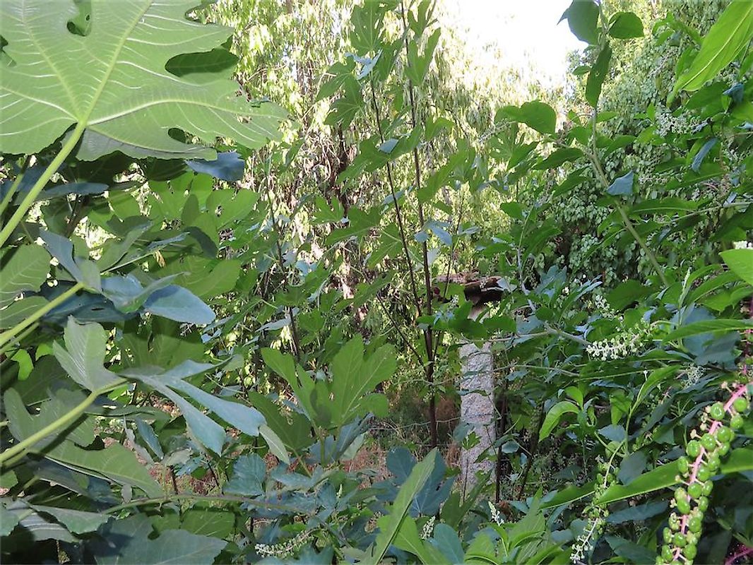 Moradia T3 à venda em Ninho do Açor e Sobral do Campo, Castelo Branco — foto 11