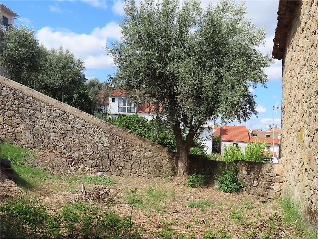 Moradia T2 à venda em Idanha-a-Nova e Alcafozes, Idanha-a-Nova — foto 28