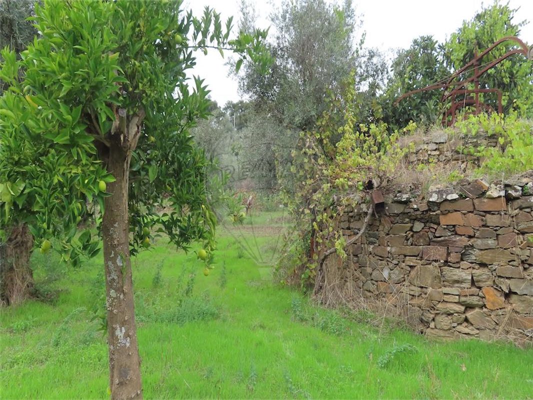 Quinta para venda