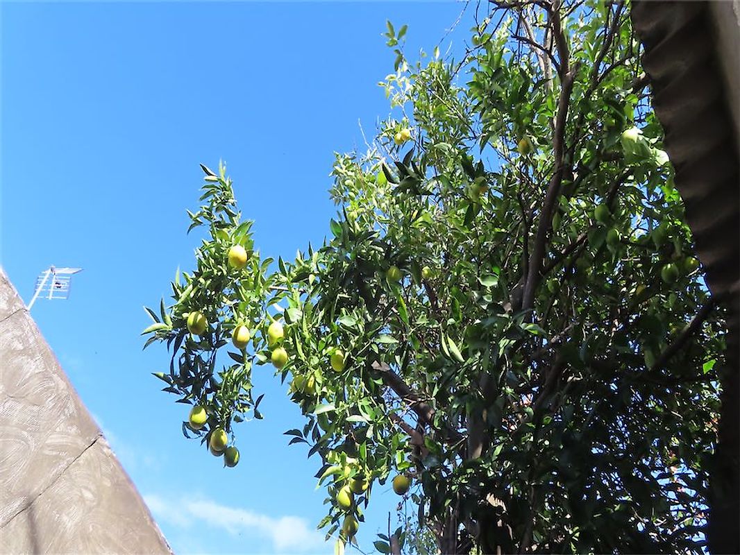 Moradia T3 à venda em Salgueiro do Campo, Castelo Branco — foto 26