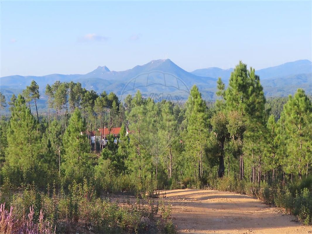 Quinta à venda em Castelo Branco