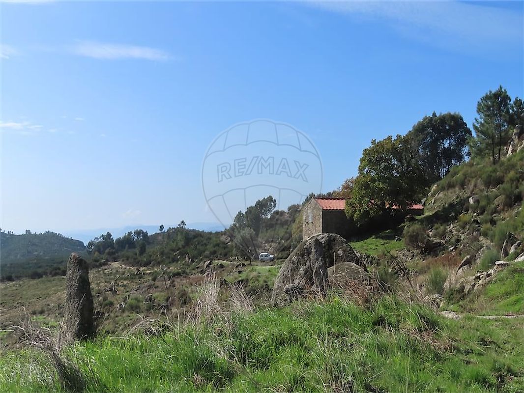 listing 120461028-3512 picture-0