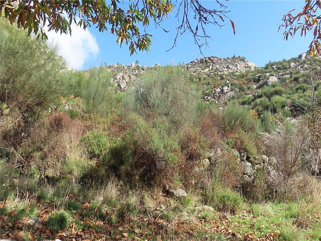 listing 120461028-3512 picture-0