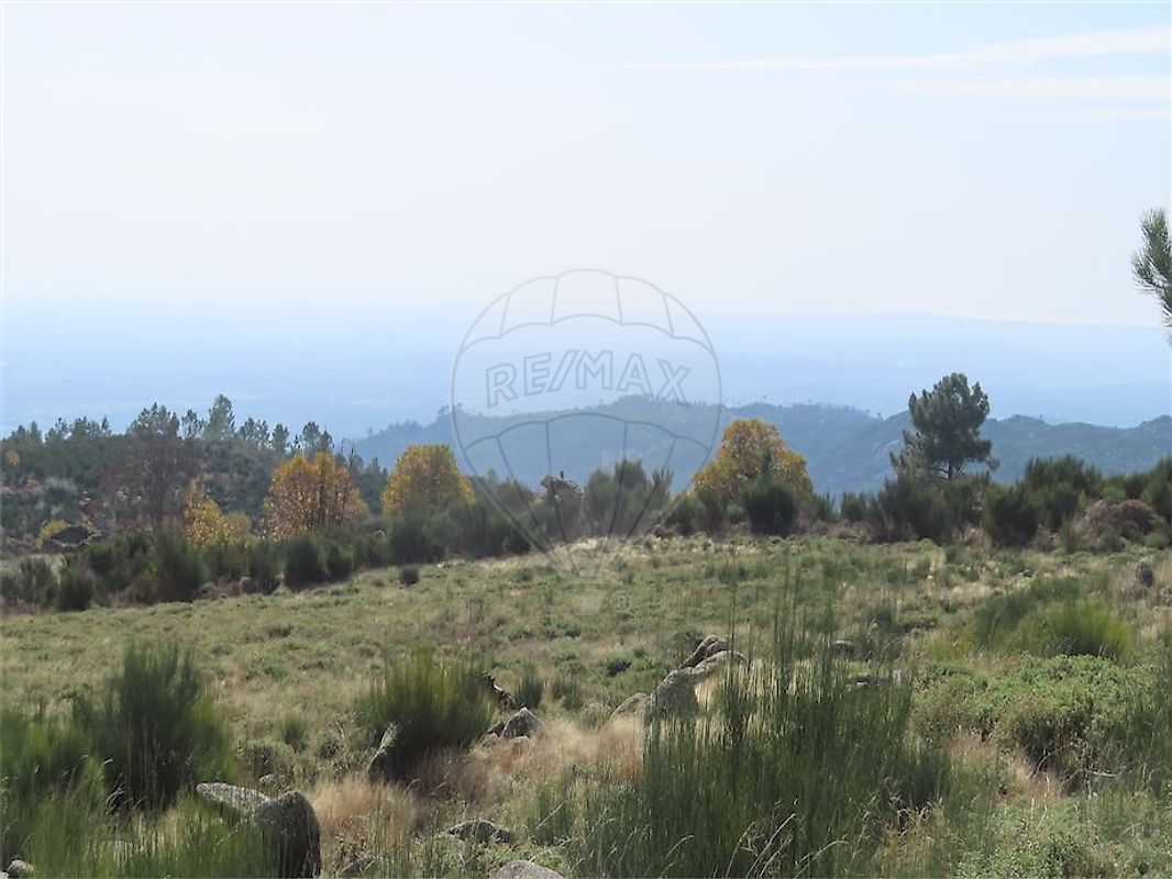 listing 120461028-3512 picture-0