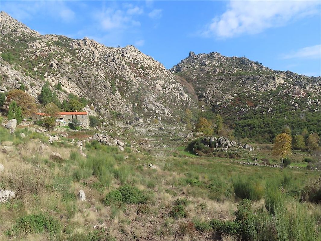 listing 120461028-3512 picture-0