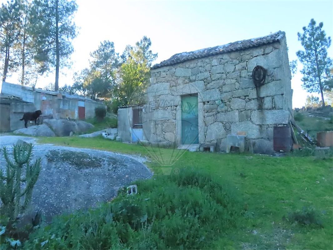 Quinta - Orca, Fundão, Castelo Branco