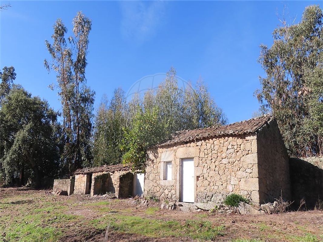 Quinta - São Miguel de Acha, Idanha-a-Nova, Castelo Branco