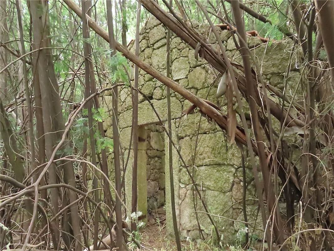Quinta à venda em Castelo Branco