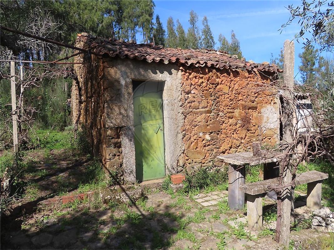Terreno  para venda