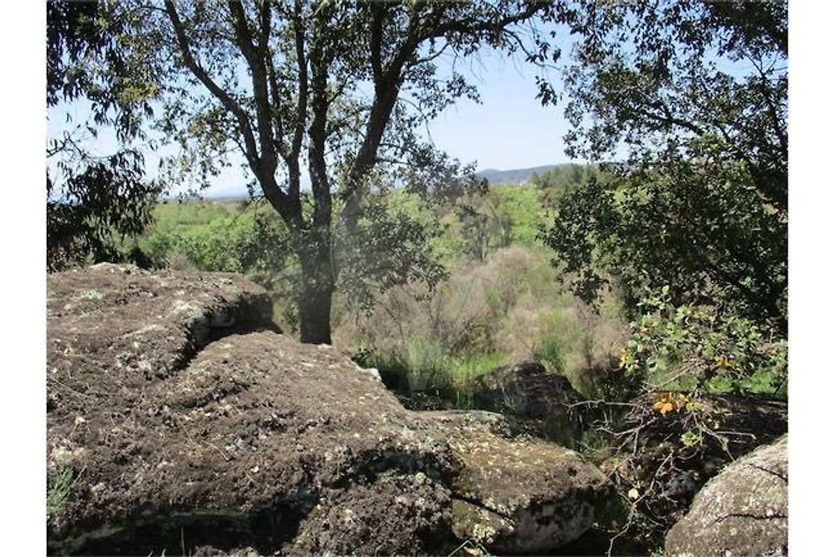 Quinta para venda