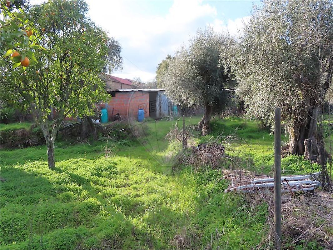 Quinta - Aldeia de Santa Margarida, Idanha-a-Nova, Castelo Branco