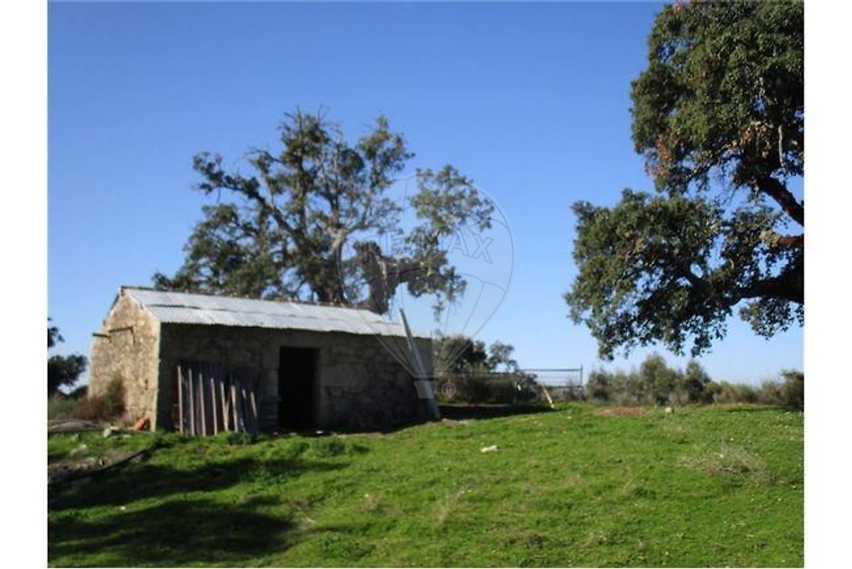 Quinta - Aldeia de Santa Margarida, Idanha-a-Nova, Castelo Branco