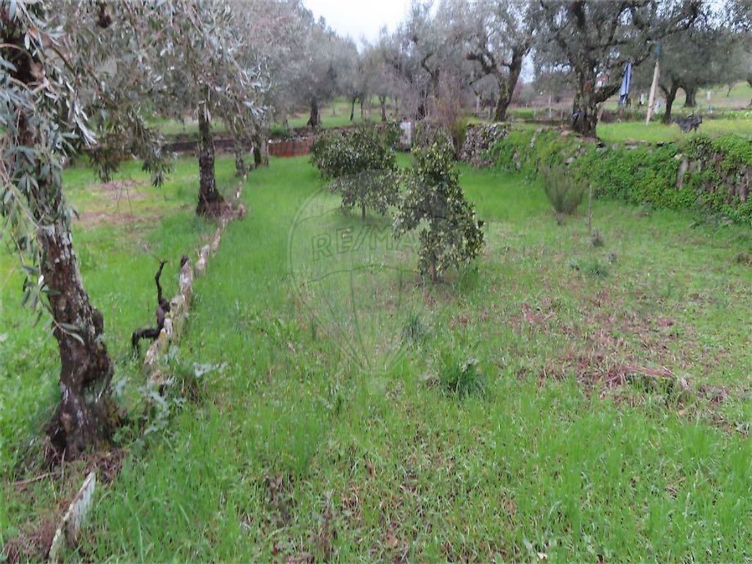Moradia T2 à venda em Salgueiro do Campo, Castelo Branco — foto 39