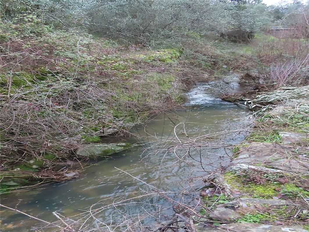 Moradia T2 à venda em Salgueiro do Campo, Castelo Branco — foto 40