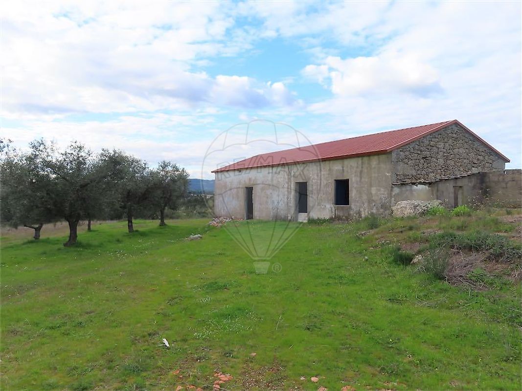 Quinta - Penamacor, Penamacor, Castelo Branco