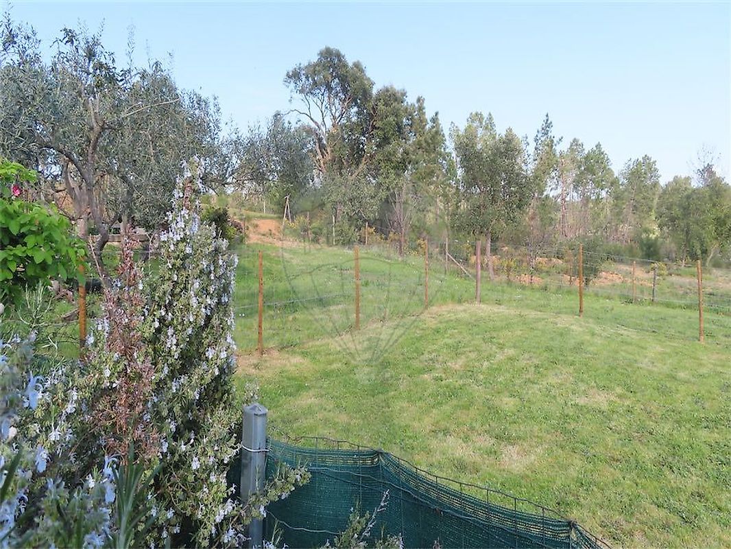 Moradia T2 à venda em Sarzedas, Castelo Branco — foto 12