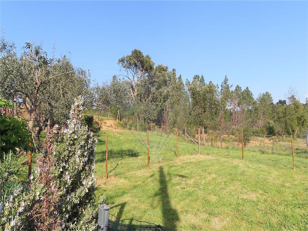 Moradia T2 à venda em Sarzedas, Castelo Branco — foto 13