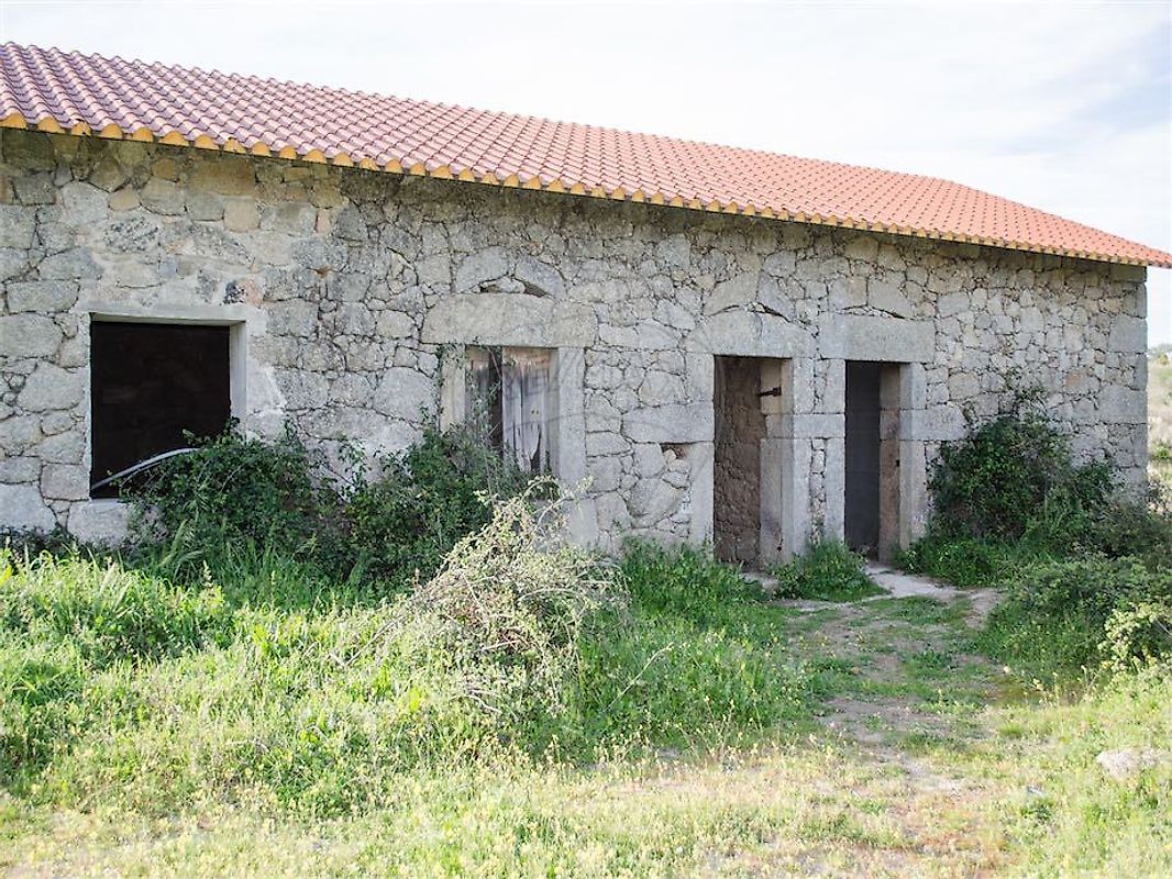 Quinta - Idanha-a-Nova e Alcafozes, Idanha-a-Nova, Castelo Branco
