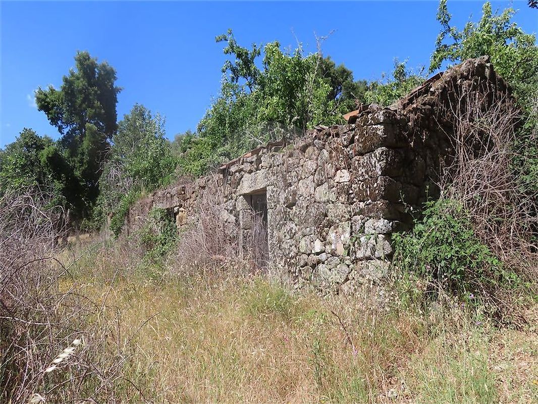 Quinta - Penamacor, Penamacor, Castelo Branco