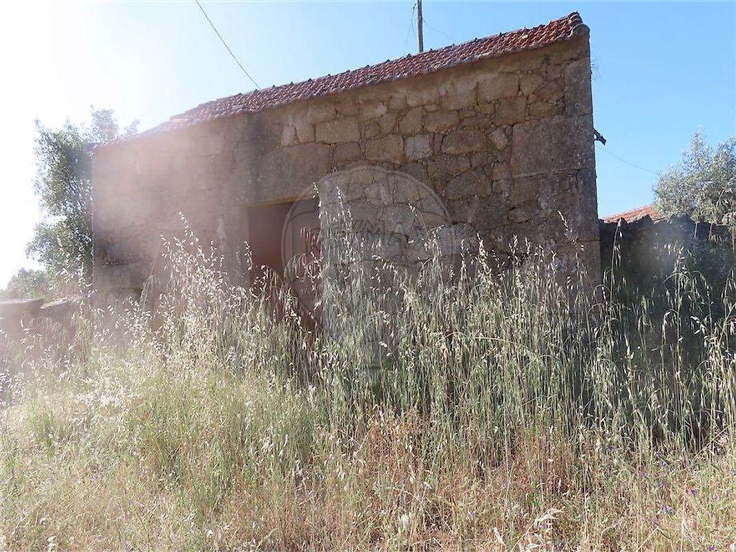Quinta - Penamacor, Penamacor, Castelo Branco