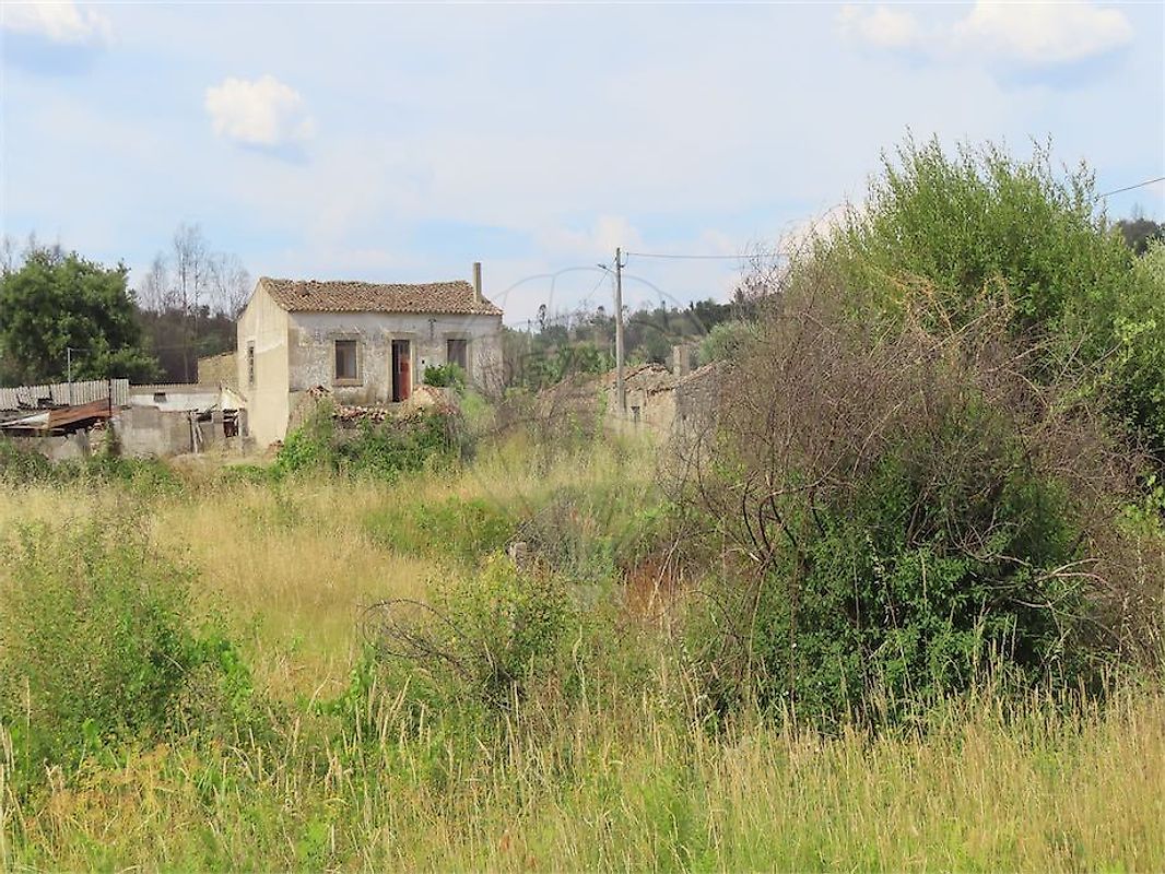 Quinta - Pedrógão de São Pedro e Bemposta, Penamacor, Castelo Branco
