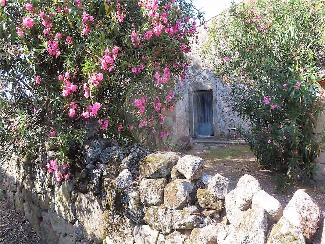 Quinta - São Miguel de Acha, Idanha-a-Nova, Castelo Branco