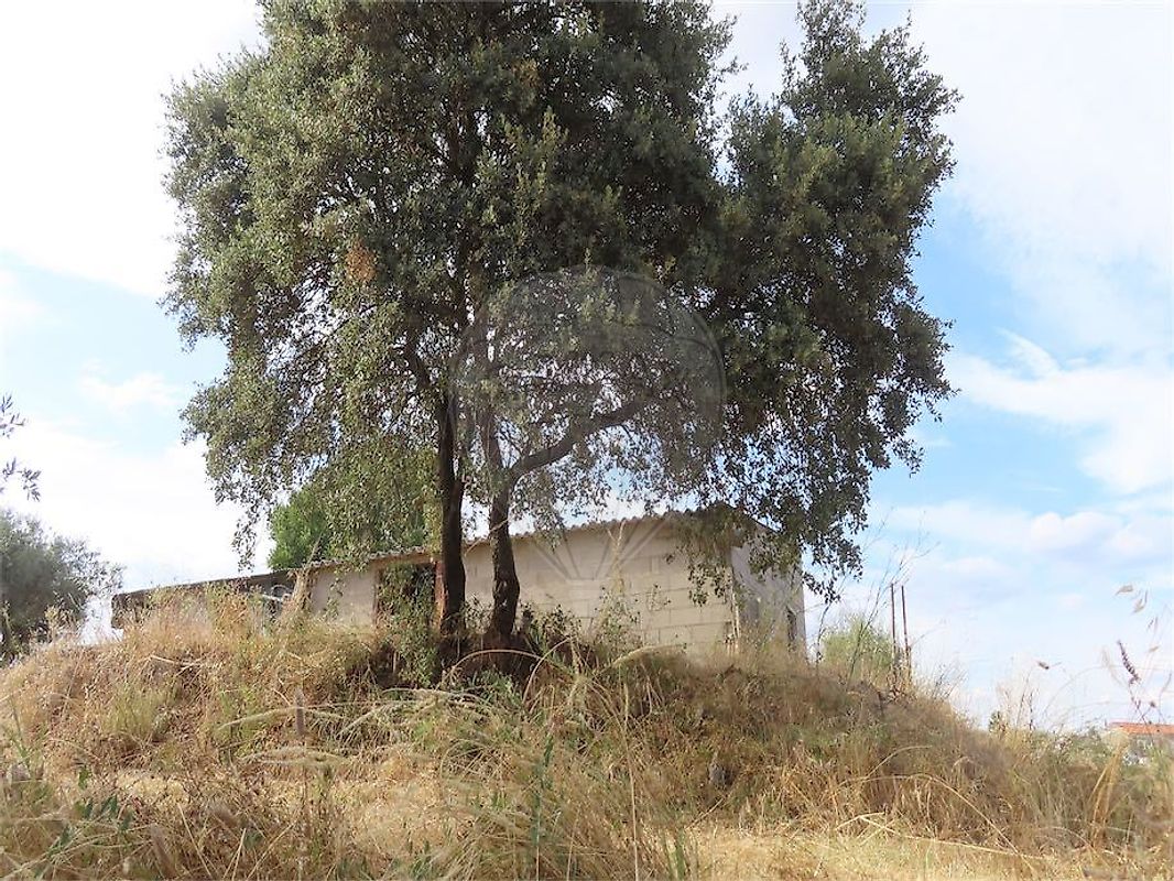 Quinta - Orca, Fundão, Castelo Branco