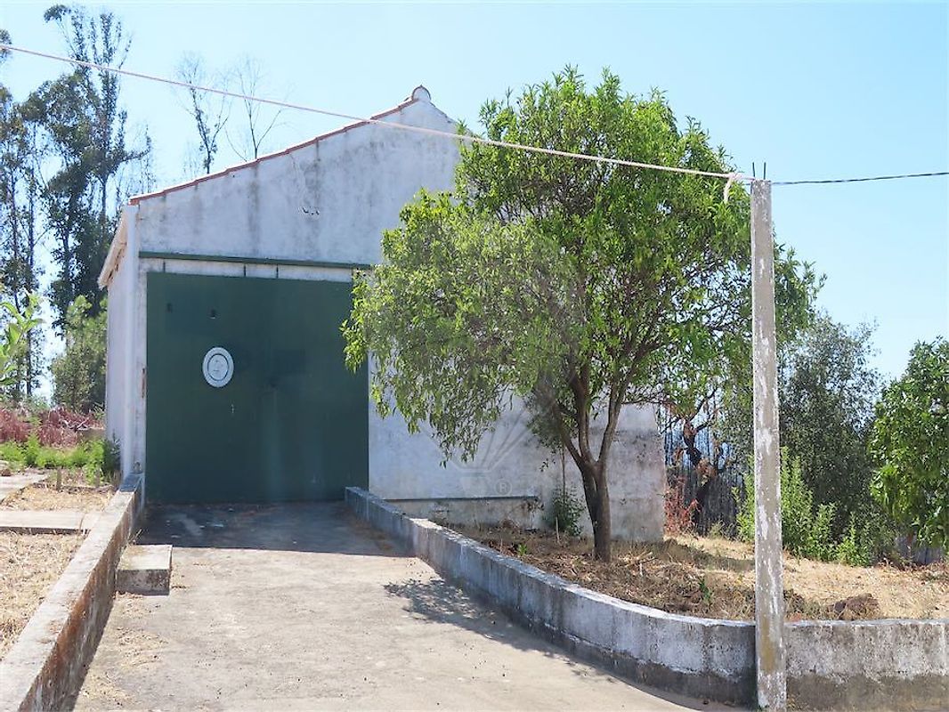 Moradia T3 à venda em Santo André das Tojeiras, Castelo Branco — foto 15
