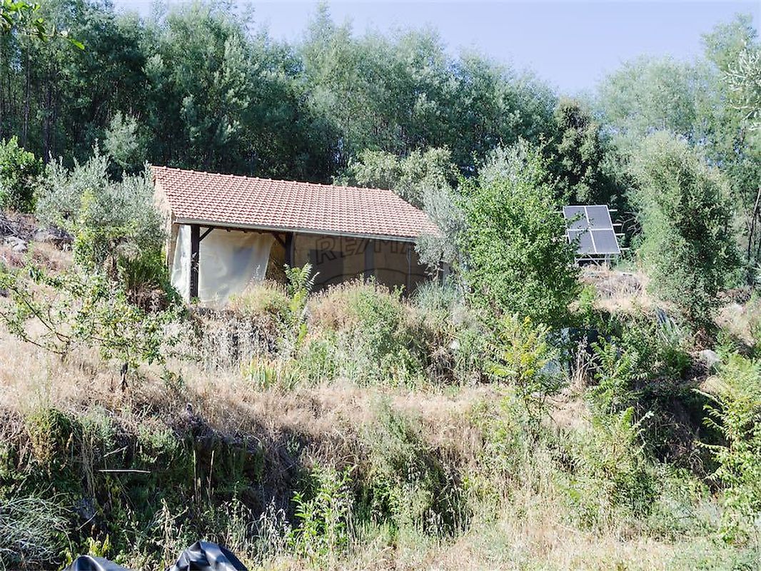 Quinta - Vale de Prazeres e Mata da Rainha, Fundão, Castelo Branco