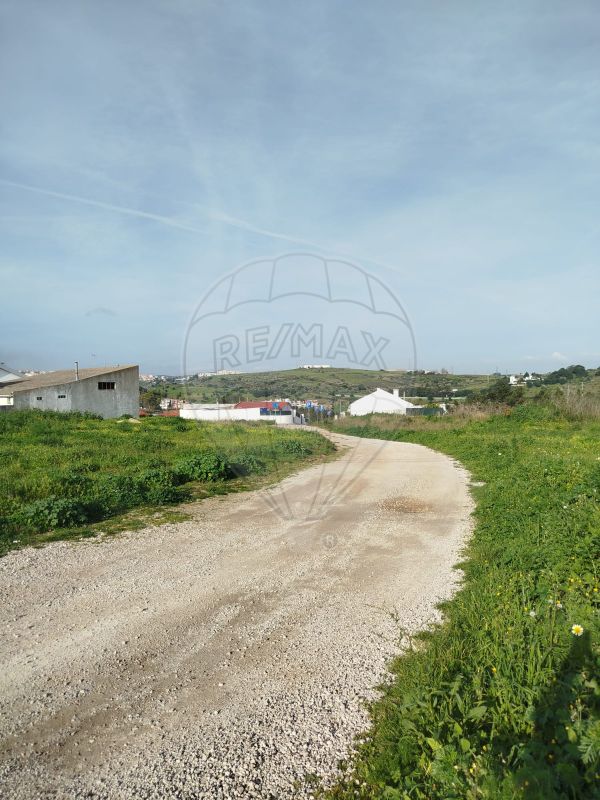 listing-picture-0