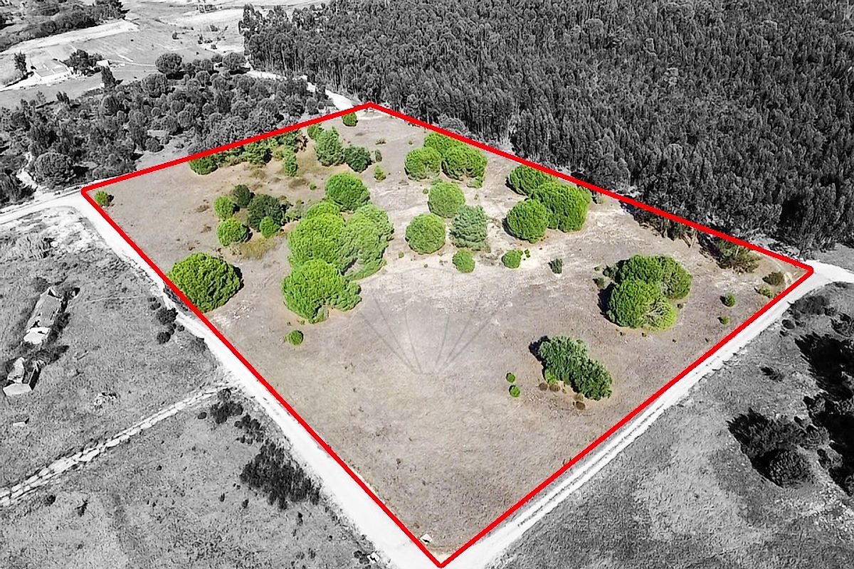Land for sale in Benavente, Portugal — €205,000