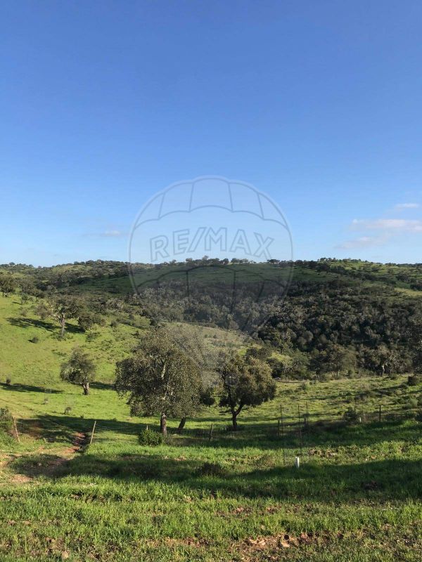 Terreno para venda