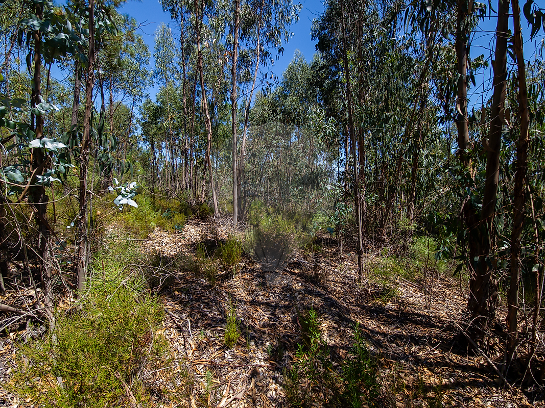 Terreno para venda