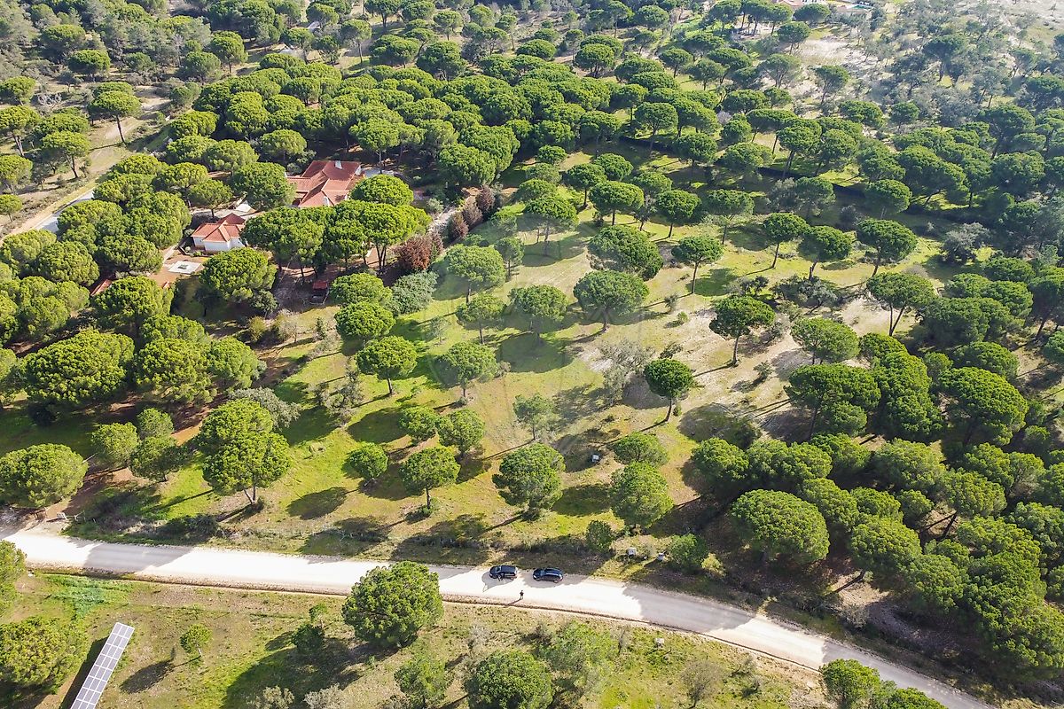 Terreno para venda