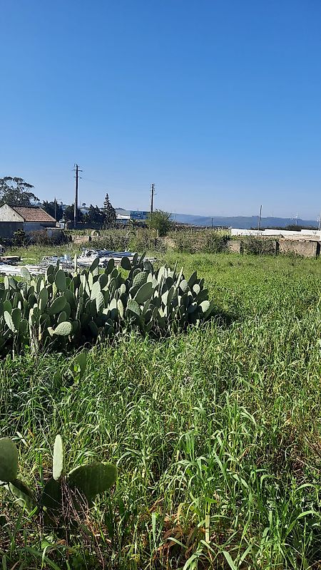 Terreno  à venda em Loures