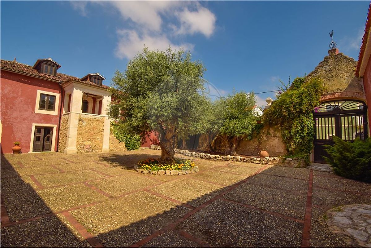 listing-picture-0