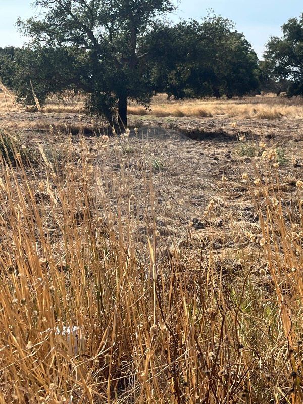 Terreno para venda