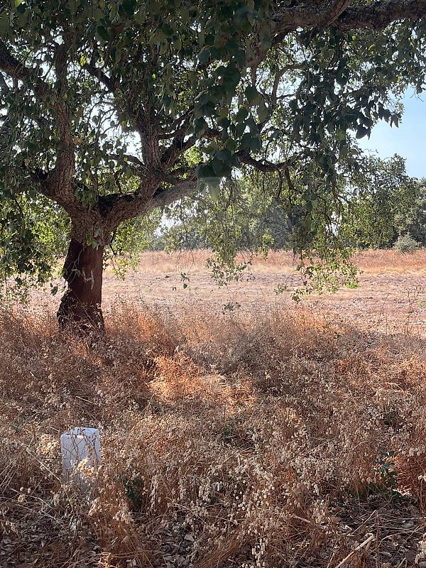 Terreno para venda