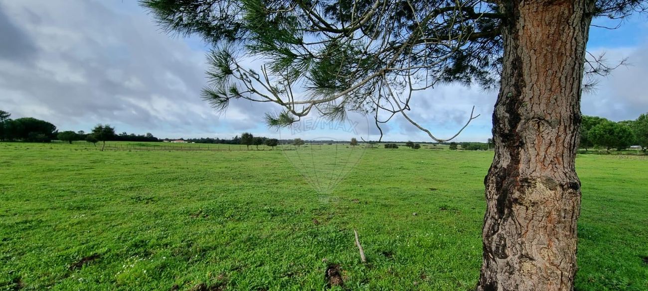 Terreno  para venda