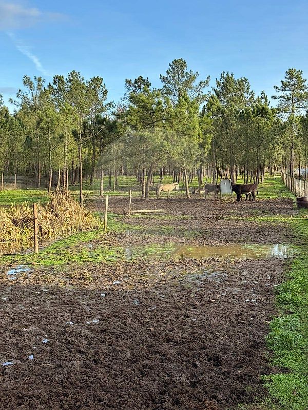 Apartamento T2 à venda em São Teotónio, Odemira — foto 23