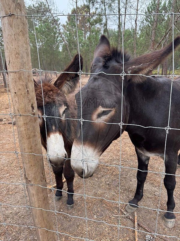 Apartamento T2 à venda em São Teotónio, Odemira — foto 24